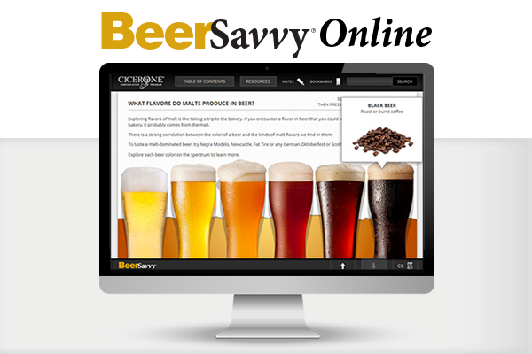 BeerSavvy logo