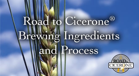 Road to Cicerone: Brewing Ingredients and Process