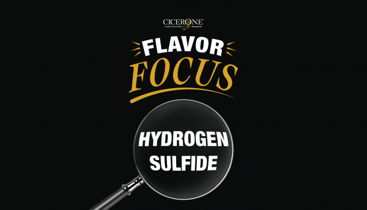 Flavor Focus: Hydrogen Sulfide